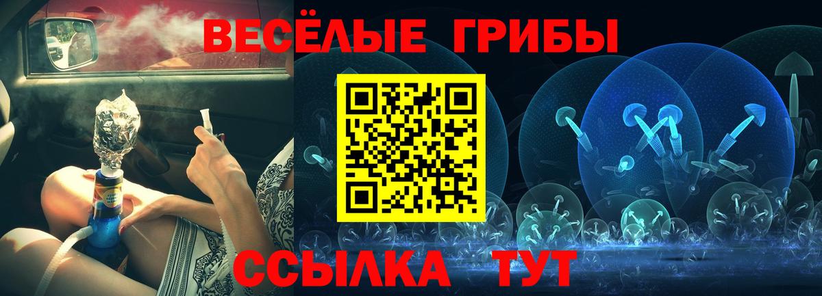 Галлюциногенные грибы Magic Shrooms  Вход с VPN  Галлюциногенные грибы Psilocybe  Гуково 